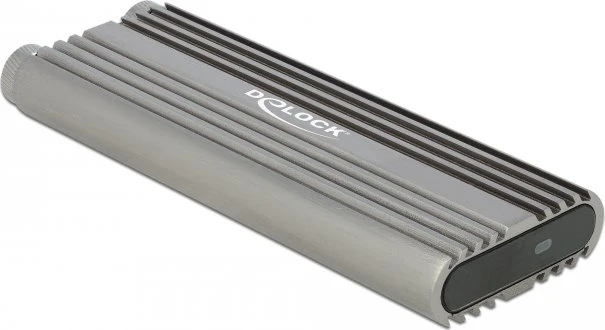 DeLOCK USB 3.2 Gen 2x2 External Enclosure, USB-C 3.2
