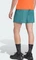 adidas Terrex Multi Hose kurz preloved teal (Herren) Vorschaubild