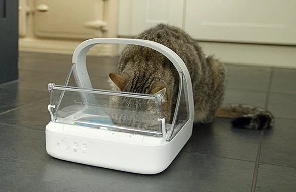 Sure Petcare SureFeed Microchip PetFeeder Futterautomat