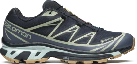 Salomon XT-6 GTX carbon/bering sea/desert sage