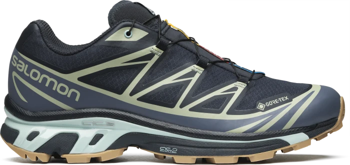 Salomon XT-6 GTX carbon/bering sea/desert sage