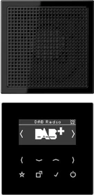 Jung Serie LS Smart Radio DAB+ Set Mono, schwarz