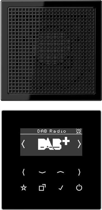 Jung Serie LS Smart Radio DAB+ Set Mono