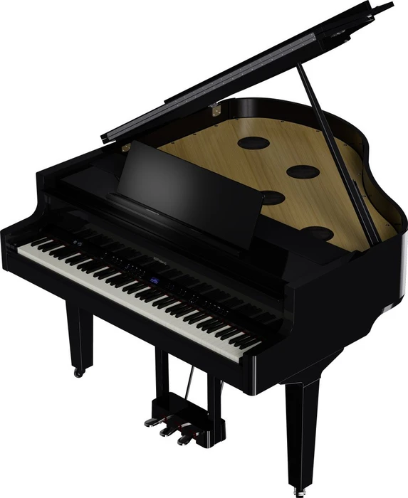Roland GP-9 schwarz
