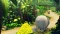 Donkey Kong Country Returns HD (Switch) Vorschaubild