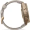 Garmin Fenix 9 Pro inReach 43mm autumn gold titanium/bone leather Vorschaubild