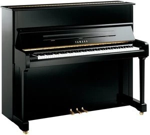 Yamaha P121