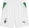 Puma Borussia Mönchengladbach 2026/2027 Trikot Vorschaubild