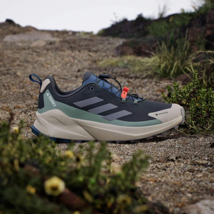 adidas Terrex Trailmaker 2 GTX Speed Lace carbon/grey three/silver green (Herren)