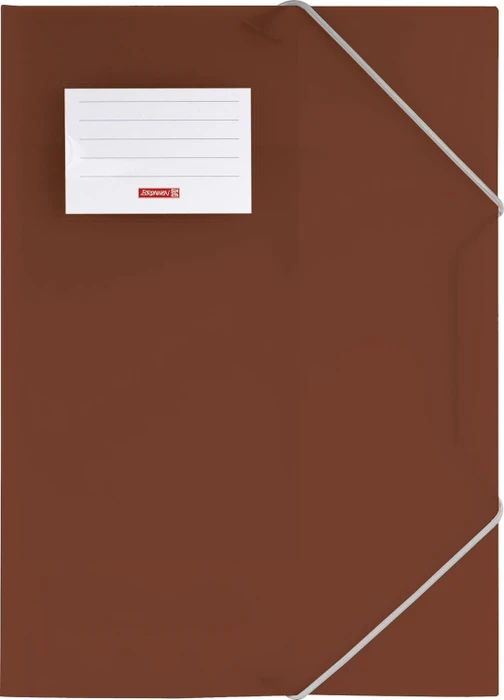 Brunnen FACT!pp Sammelmappe, A4, braun/transparent