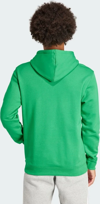 adidas Adicolor Classics Trefoil Hoodie grün (Herren)