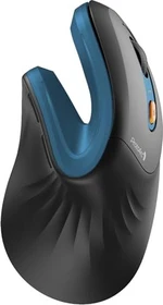 ProtoArc EM11 NL, Vertikale Maus, schwarz/blau, Rechtshänder, USB/Bluetooth