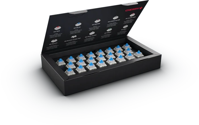 Cherry MX Switches