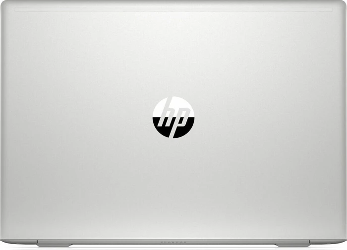 HP ProBook 455R G6, grau, Ryzen 3 3200U, 8GB RAM, 256GB SSD, DE