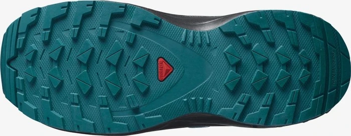 Salomon XA Pro 3D V8 delphinium blue/black/charlock (Junior)