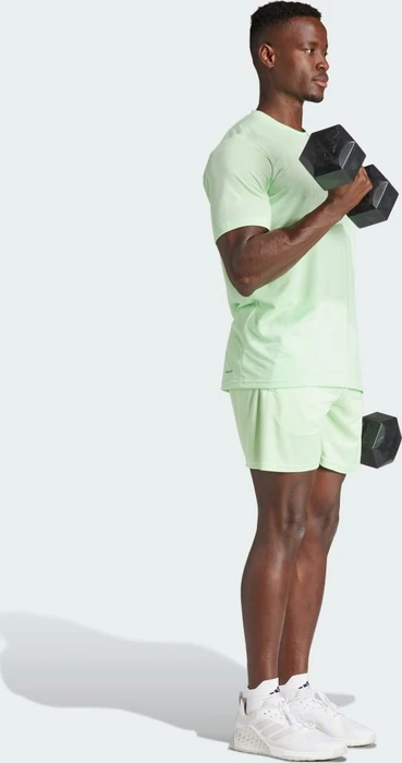 adidas Train Essentials Logo Training Trainingshose kurz semi green spark/green spark (Herren)