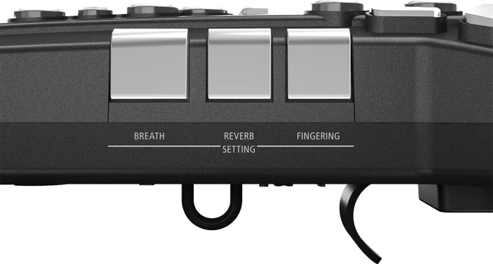 Roland Aerophone GO