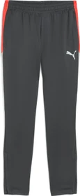 Puma individualLIGA Trainingshose lang shadow gray/puma white/glowing red (Herren)
