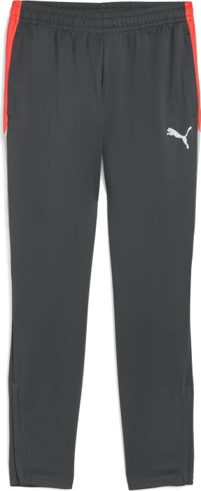Puma individualLIGA Trainingshose lang shadow gray/puma white/glowing red (Herren)