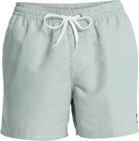 Quiksilver Everyday Deluxe 15" Badeshorts forest (Herren)
