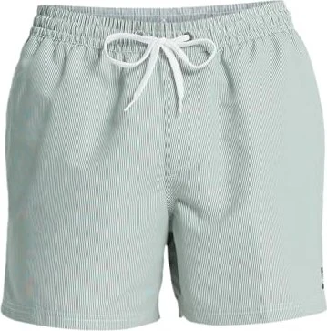 Quiksilver Everyday Deluxe 15" Badeshorts forest (Herren)