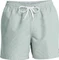 Quiksilver Everyday Deluxe 15" Badeshorts (Herren) Vorschaubild