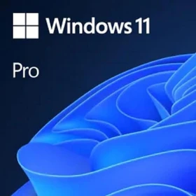 Microsoft Windows 11 Pro 64Bit, DSP/SB, ESD (multilingual) (PC)