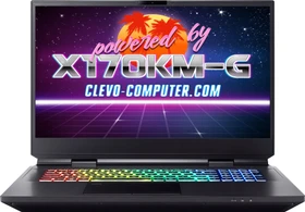 Clevo X170KM-G, Core i5-10600KF, 32GB RAM, 512GB SSD, GeForce RTX 3080, DE (SW15433)