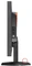 Eizo Foris FG2421, schwarz, 23.5" Vorschaubild