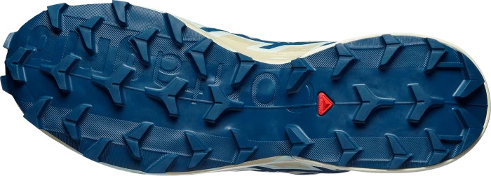 Salomon Speedcross 6 bog/gibraltar sea/clearly aqua (Herren)