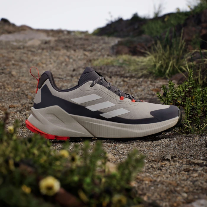 adidas Terrex Trailmaker 2.0 GTX wonder beige/wonder white/charcoal (Herren)