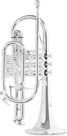 Roy Benson Bb-Kornett CR-302S