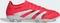 adidas Predator Pro FG lucid red/cloud white/core black Vorschaubild