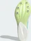 adidas Adizero Avanti flash aqua/zero metalic/lucid lemon Vorschaubild