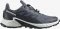 Salomon Supercross 4 GTX grisaille/white/carbon (Herren) Vorschaubild