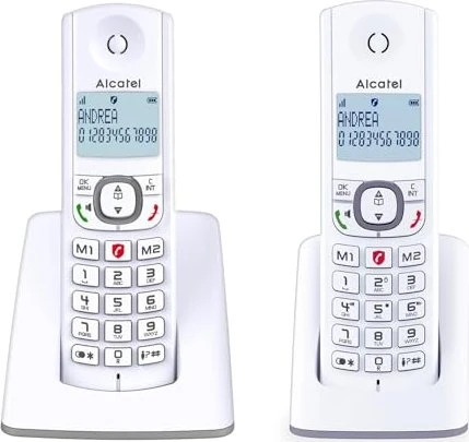 Alcatel F530 Duo grau/weiß