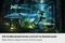Samsung Odyssey OLED G6 G61SH, 27" Vorschaubild