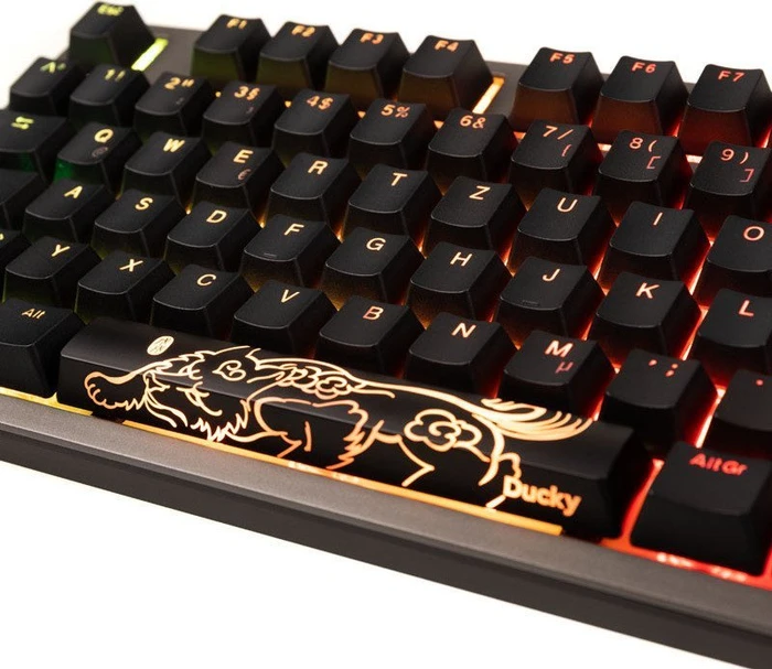 Ducky Shine 7 PBT grau, LEDs RGB, MX RGB BROWN, USB, DE