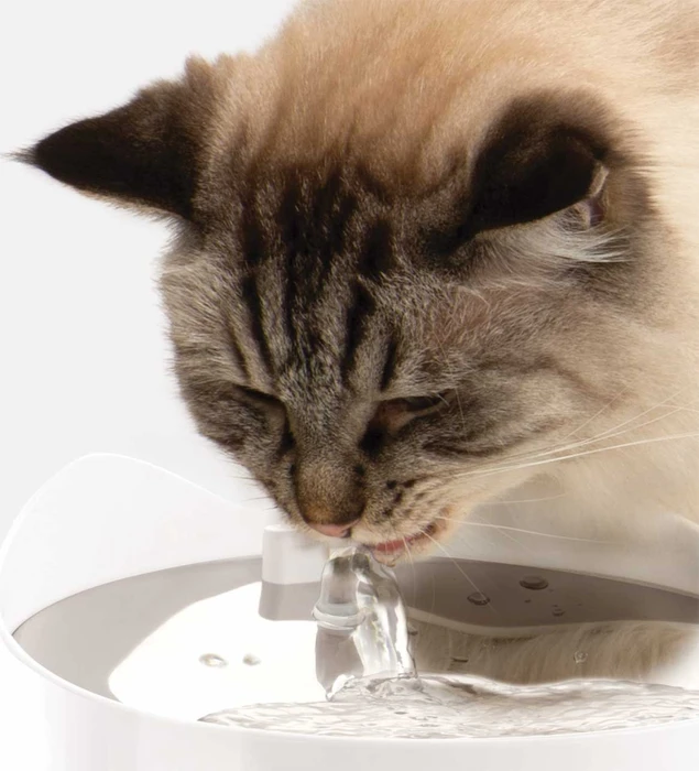 Catit PIXI Smart-Trinkbrunnen, LED-Statusanzeige, Trockenlaufschutz, Edelstahleinsatz, UV-C Wasserfilter, WLAN, 2.5l, weiß