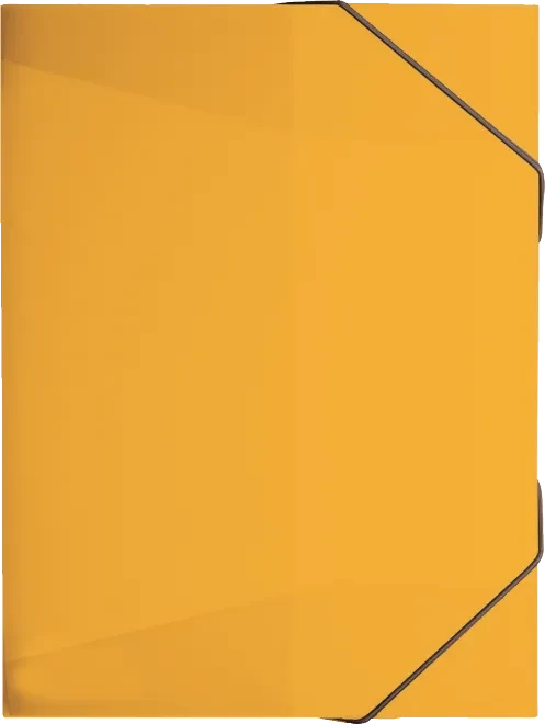 Brunnen FACT!pp Sammelbox für Hefte, A4, gelb/transparent
