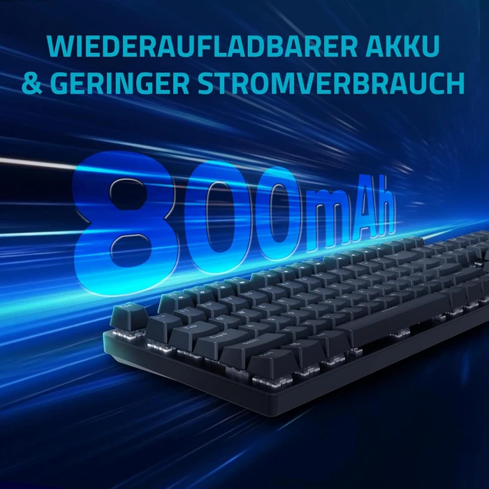 Rapoo V500PRO 2.4 Wireless, schwarz, BROWN Switches, USB, DE