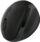 LogiLink Wireless Ergonomic Mouse, USB Vorschaubild
