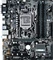 ASUS Prime B250M-A (Intel 1151) Vorschaubild