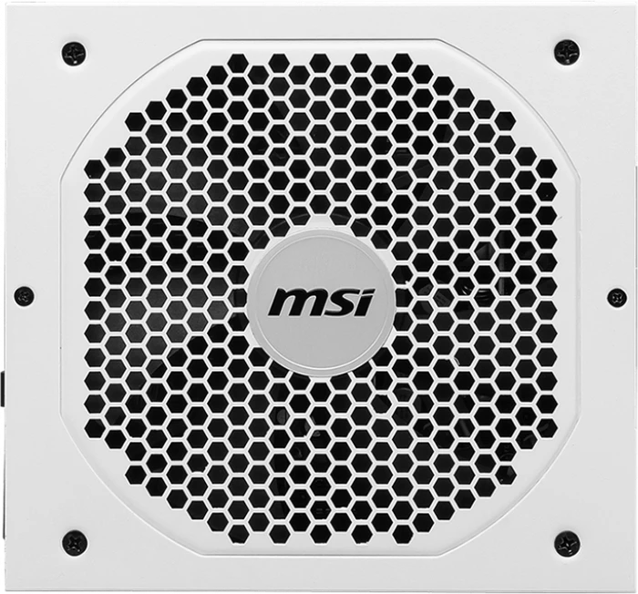 MSI MPG A750GF WHITE 750W, ATX 2.4