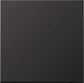 Jung Serie LS Wippe Metallausführung, dark