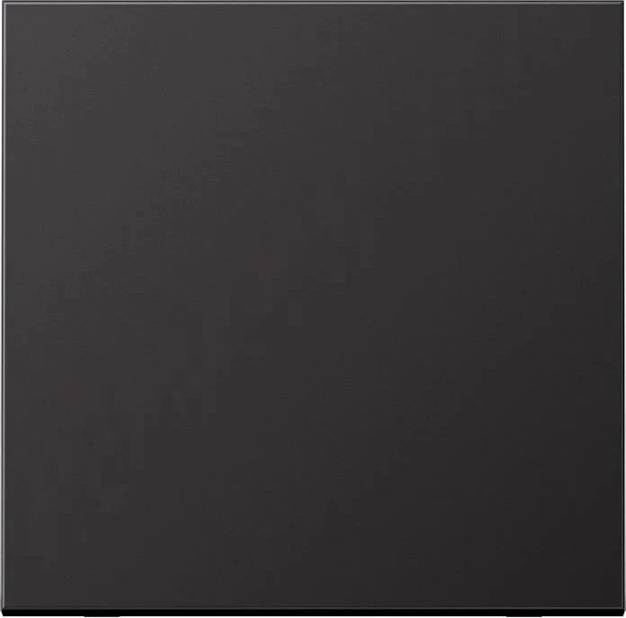 Jung Serie LS Wippe Metallausführung, dark