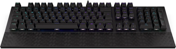 Endorfy Omnis, PBT, LEDs RGB, Kailh RED, USB, DE