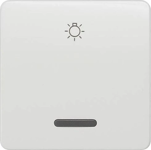 Siemens DELTA profil Wippe mit Fenster mit Symbol Licht für Taster, titanweiß
