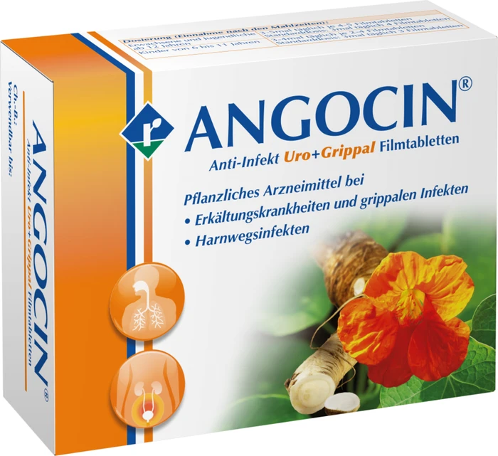 Angocin Anti Infekt N Filmtabletten