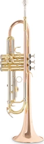 Roy Benson Bb-Trompete TR-202G